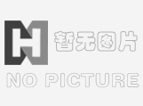 皮帶輸送機(jī)
